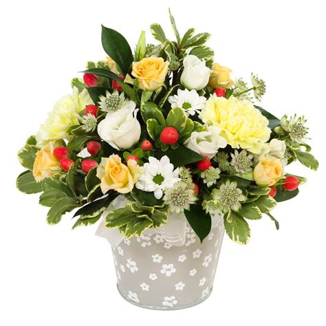 florist maesteg  They are one of our trusted florists from , you can reach them by calling them on 01656 731344